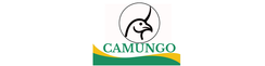 Camungo - Inicio